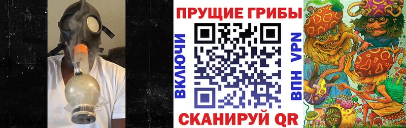 Купить закладки  Троицк  Псилоцибиновые грибы Cubensis 