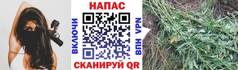 Бошки марихуана тримм Троицк